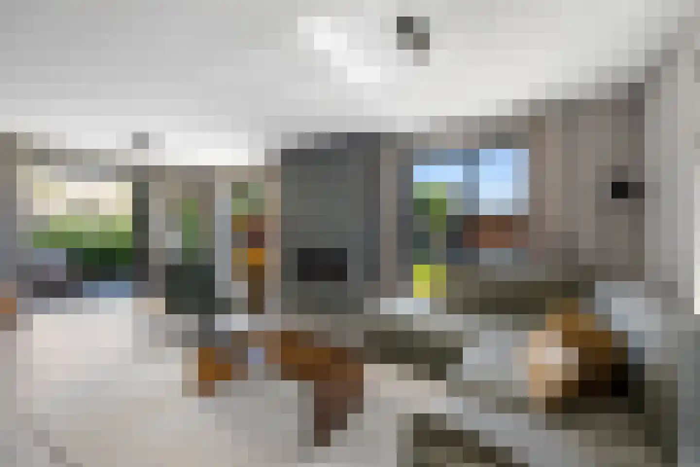 Anjerlaan 33 Zevenhuizen thumbnail 6
