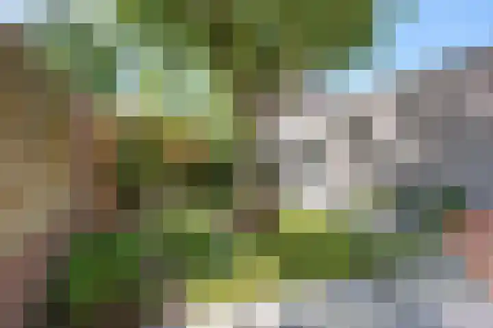Anjerlaan 34 Sint-Oedenrode thumbnail 4