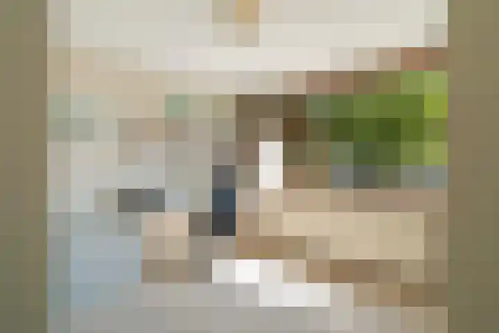 Anjerlaan 42 Naaldwijk thumbnail 16