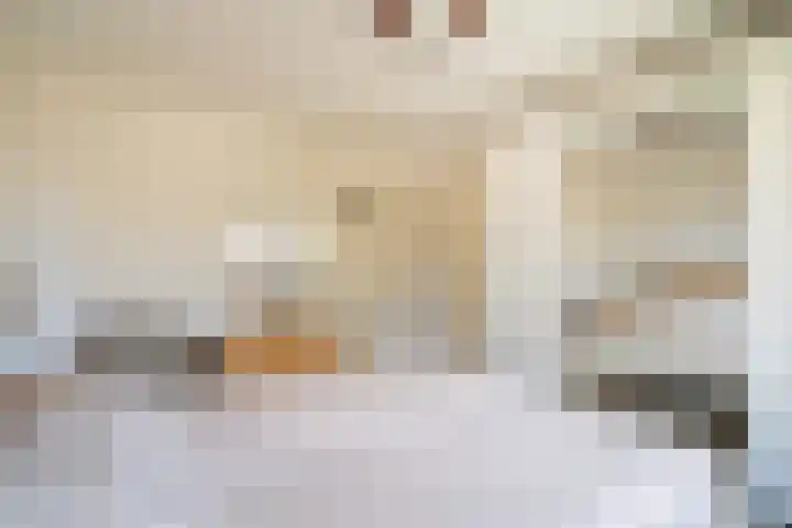 Anjerlaan 42 Naaldwijk thumbnail 20