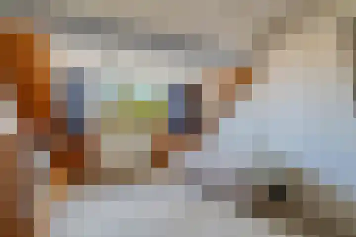Anjerlaan 42 Naaldwijk thumbnail 26