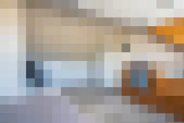 Anjerlaan 42 Naaldwijk thumbnail 28