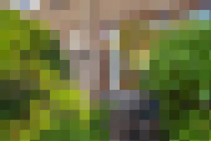 Anjerlaan 42 Naaldwijk thumbnail 31