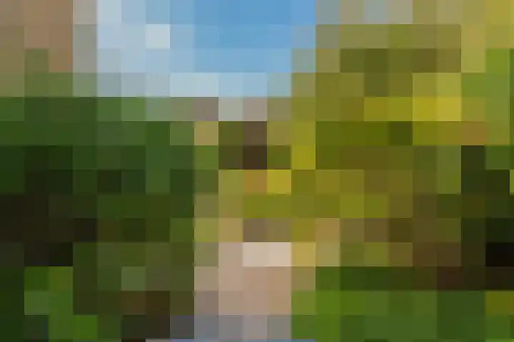 Anjerlaan 42 Naaldwijk thumbnail 33