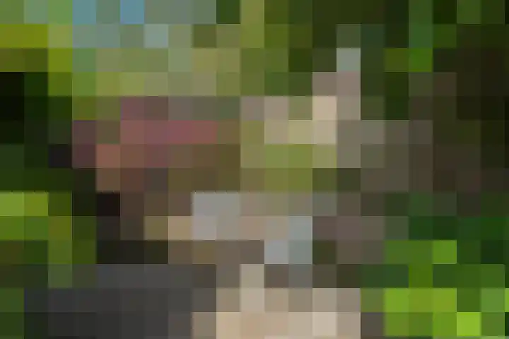 Anjerlaan 42 Naaldwijk thumbnail 35