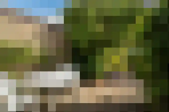 Anjerlaan 42 Naaldwijk thumbnail 36
