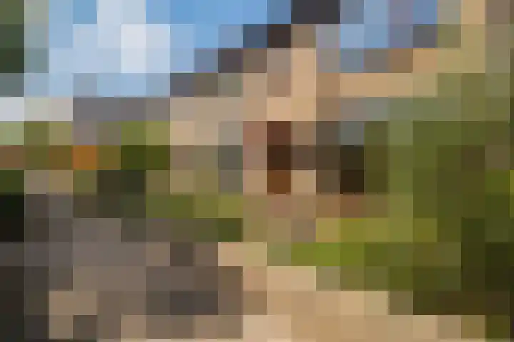 Anjerlaan 42 Naaldwijk thumbnail 37