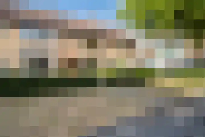 Anjerlaan 42 Naaldwijk thumbnail 38