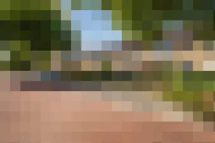 Anjerlaan 42 Naaldwijk thumbnail 39