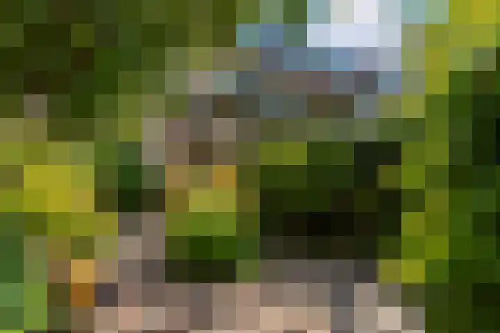 Anjerlaan 42 Naaldwijk thumbnail 4