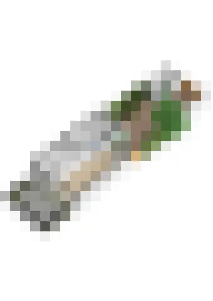 Anjerlaan 42 Naaldwijk thumbnail 43