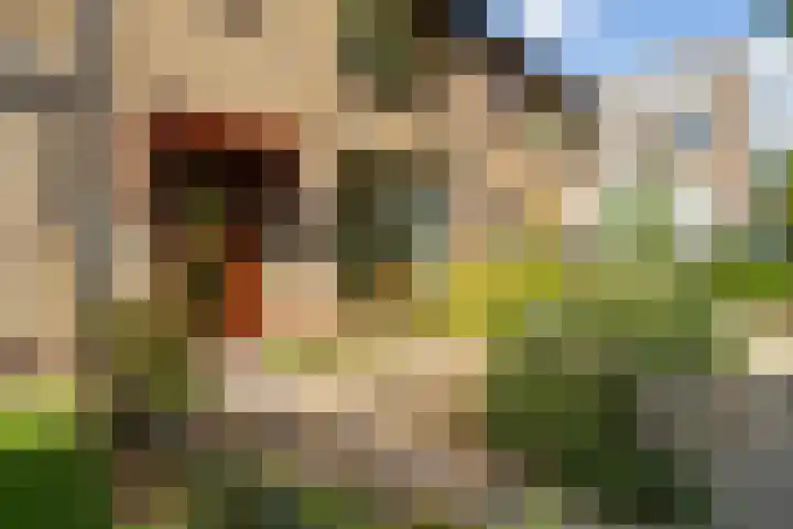 Anjerlaan 42 Naaldwijk thumbnail 5