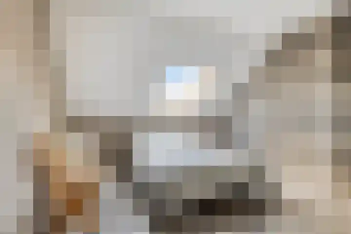 Anjerlaan 55 Almkerk thumbnail 13