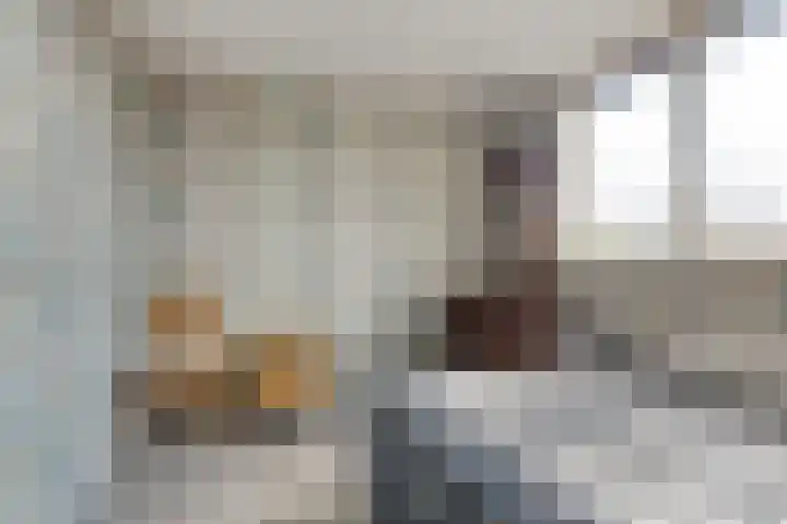 Anjerlaan 55 Almkerk thumbnail 17