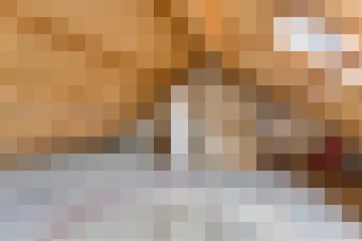 Anjerlaan 55 Almkerk thumbnail 19