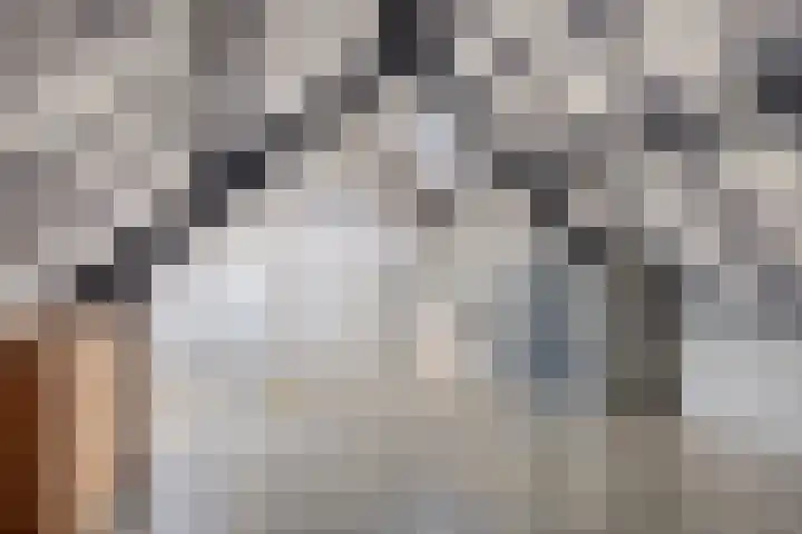 Anjerlaan 55 Almkerk thumbnail 19