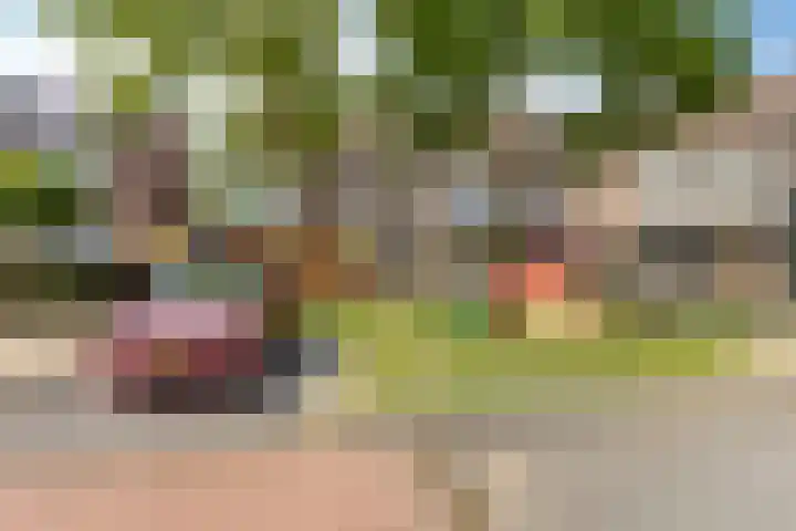 Anjerlaan 55 Almkerk thumbnail 26