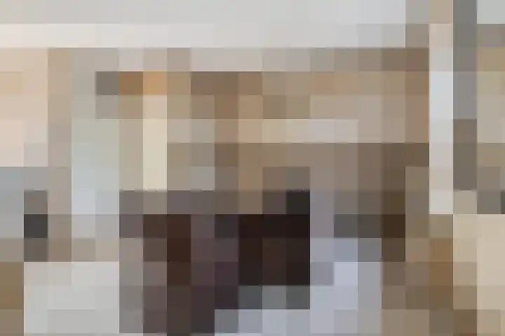 Anjerlaan 55 Almkerk thumbnail 5