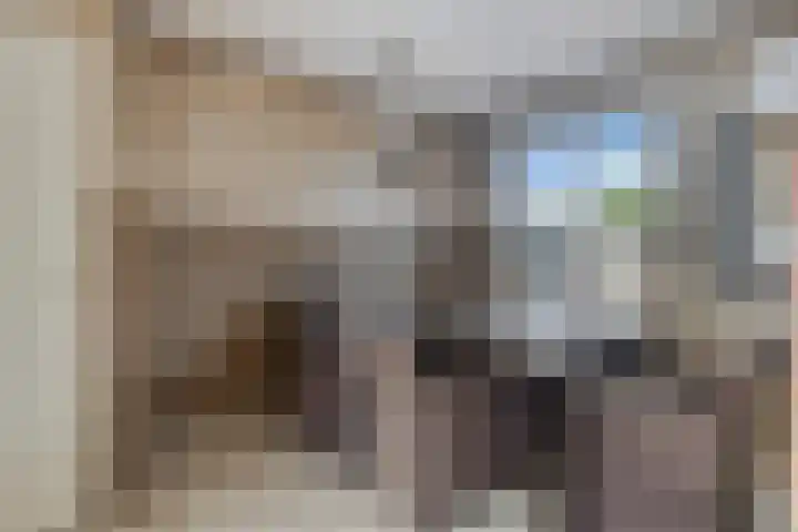 Anjerlaan 55 Almkerk thumbnail 6