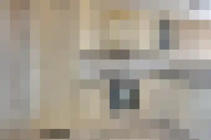 Anjerlaan 55 Almkerk thumbnail 8