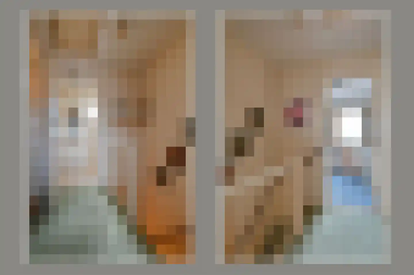 Anjerlaan 6 De Kwakel thumbnail 11
