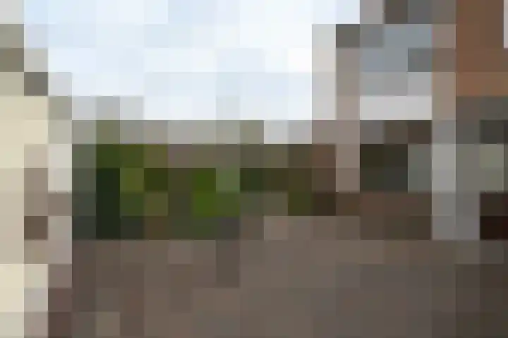 Anjerlaan 6 De Kwakel thumbnail 17