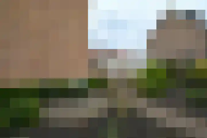 Anjerlaan 6 De Kwakel thumbnail 18