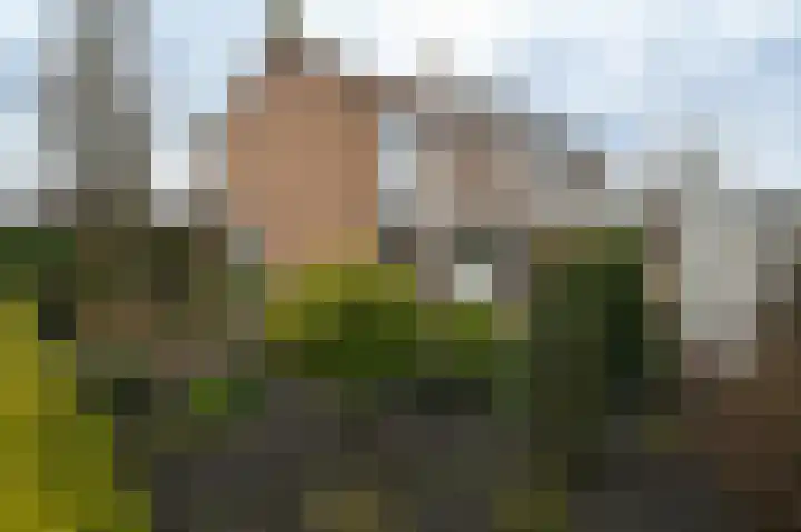 Anjerlaan 6 De Kwakel thumbnail 21