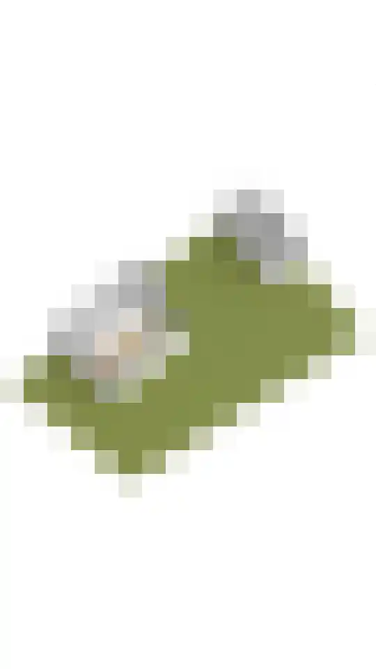 Anjerlaan 6 De Kwakel thumbnail 25