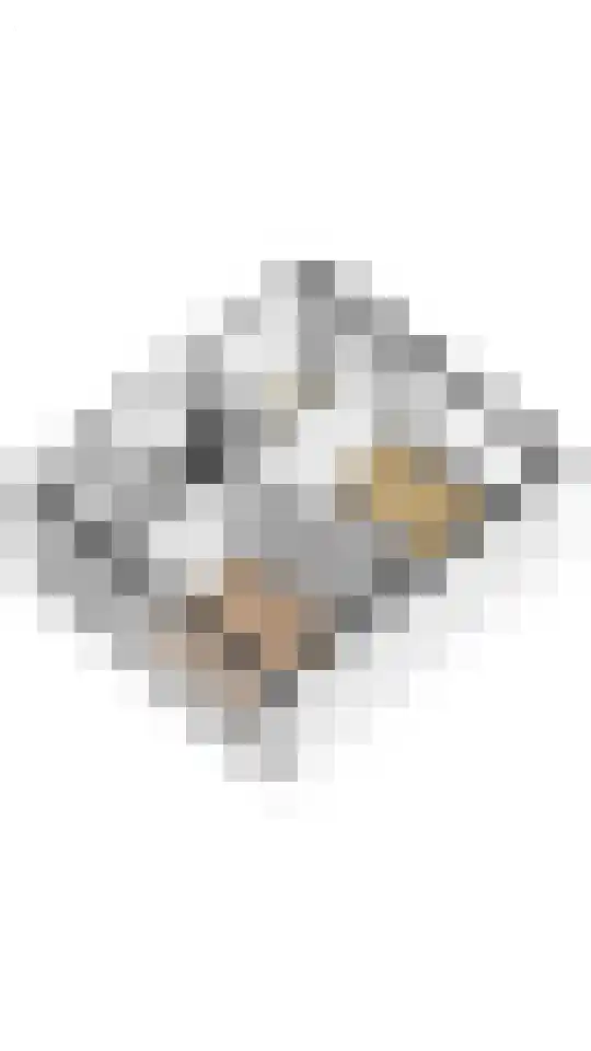 Anjerlaan 6 De Kwakel thumbnail 29