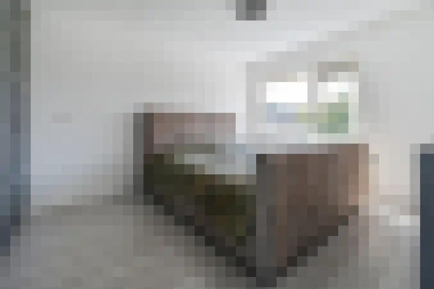 Anjerlaan 61 De Kwakel thumbnail 11