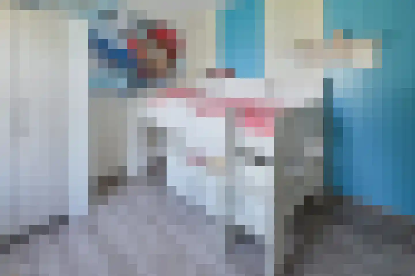 Anjerlaan 61 De Kwakel thumbnail 14
