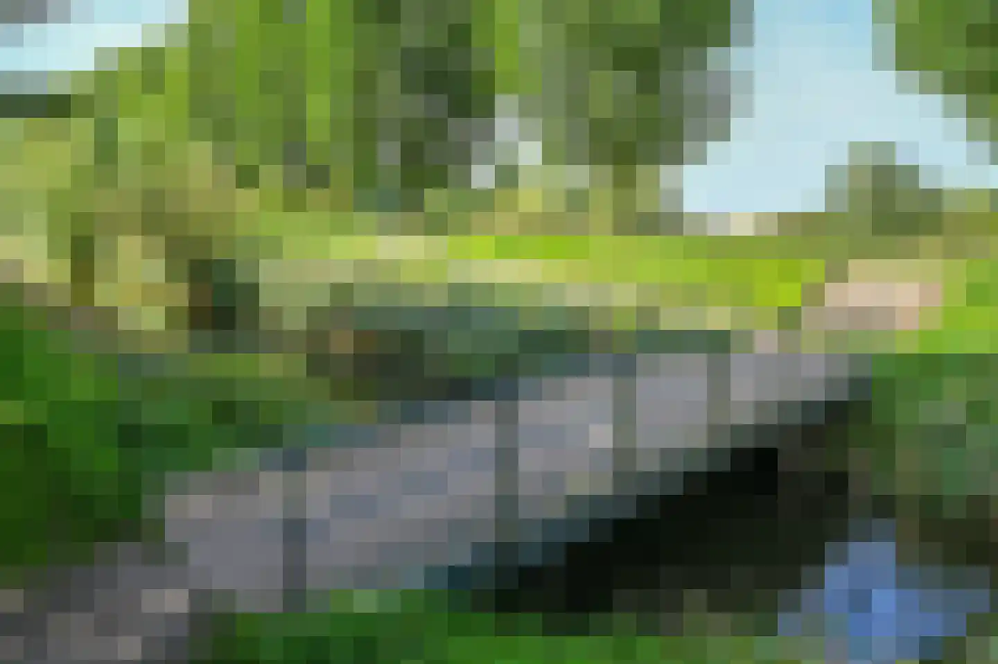 Anjerlaan 61 De Kwakel thumbnail 29