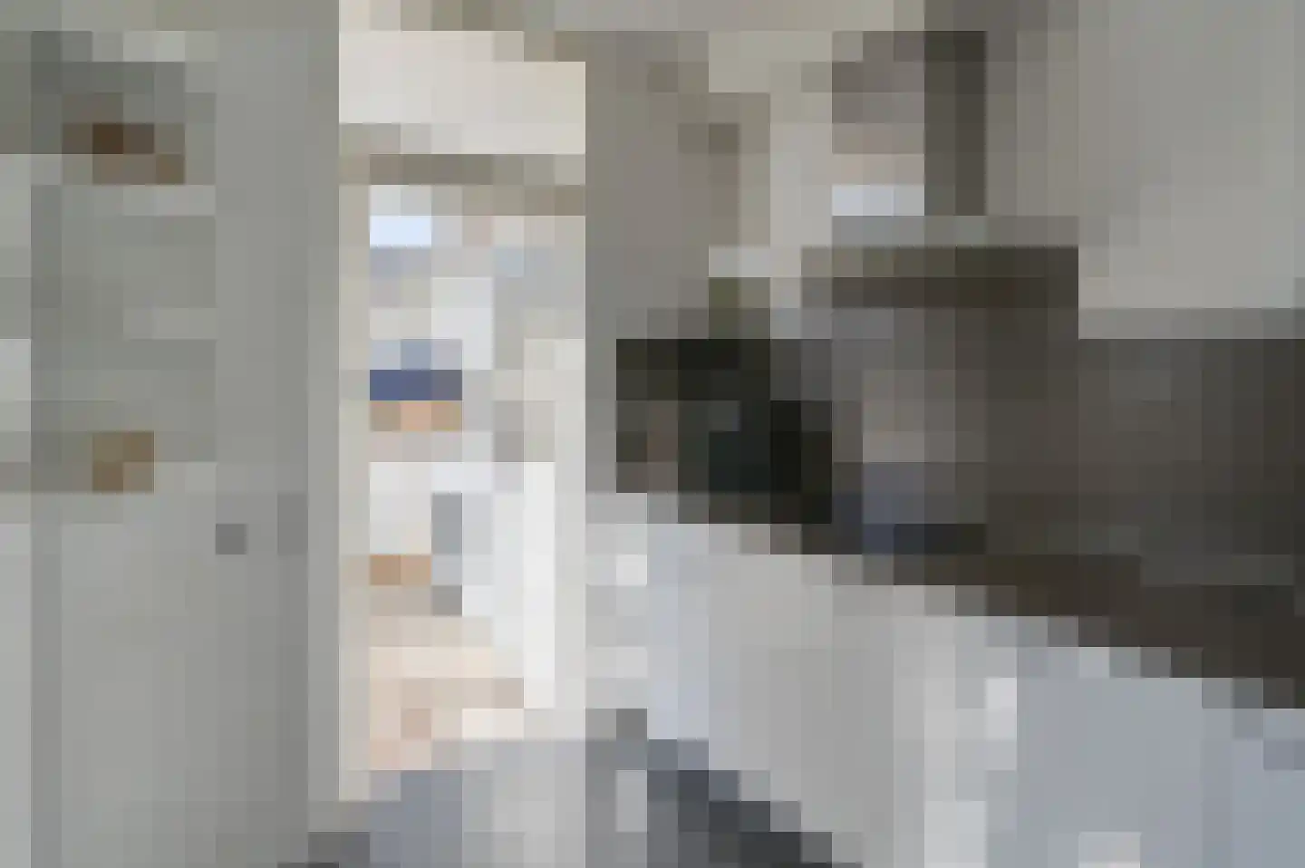 Anjerlaan 61 De Kwakel thumbnail 8