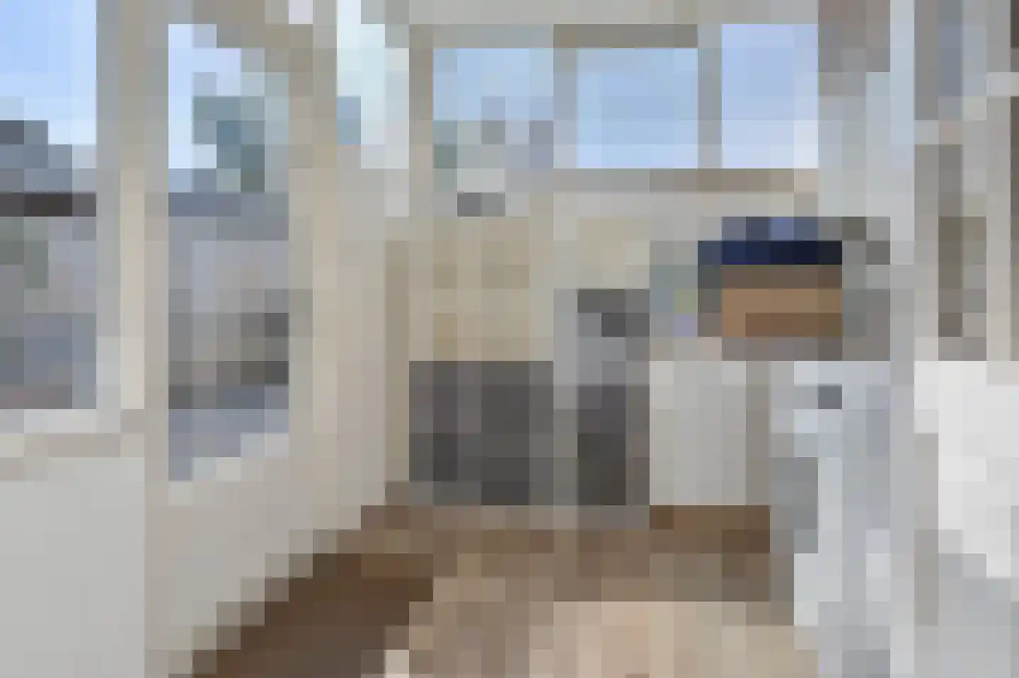Anjerlaan 61 De Kwakel thumbnail 9