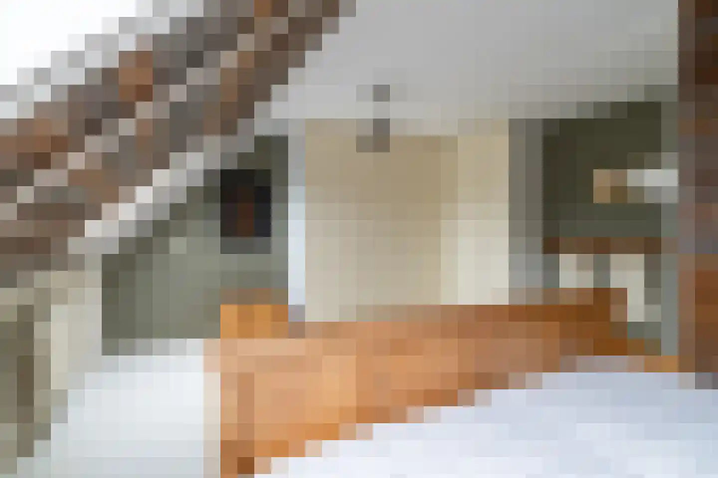 Anjerlaan 63 Almkerk thumbnail 19