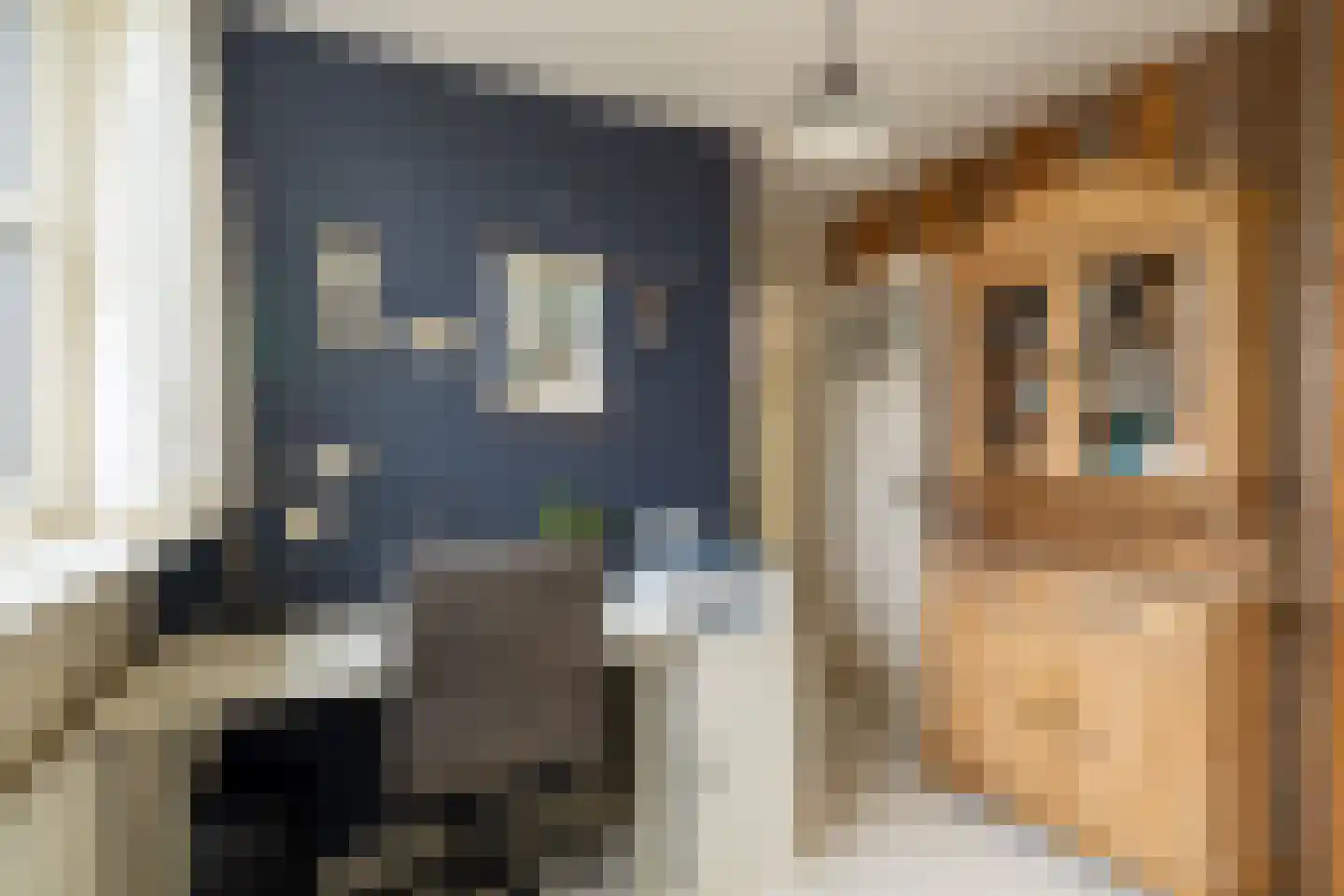 Anjerlaan 63 Almkerk thumbnail 22