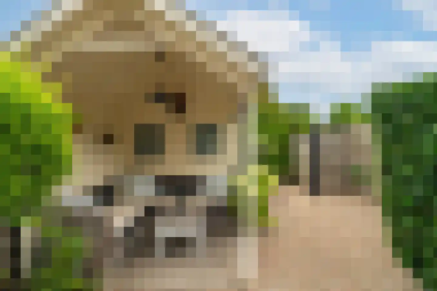 Anjerlaan 63 Almkerk thumbnail 32