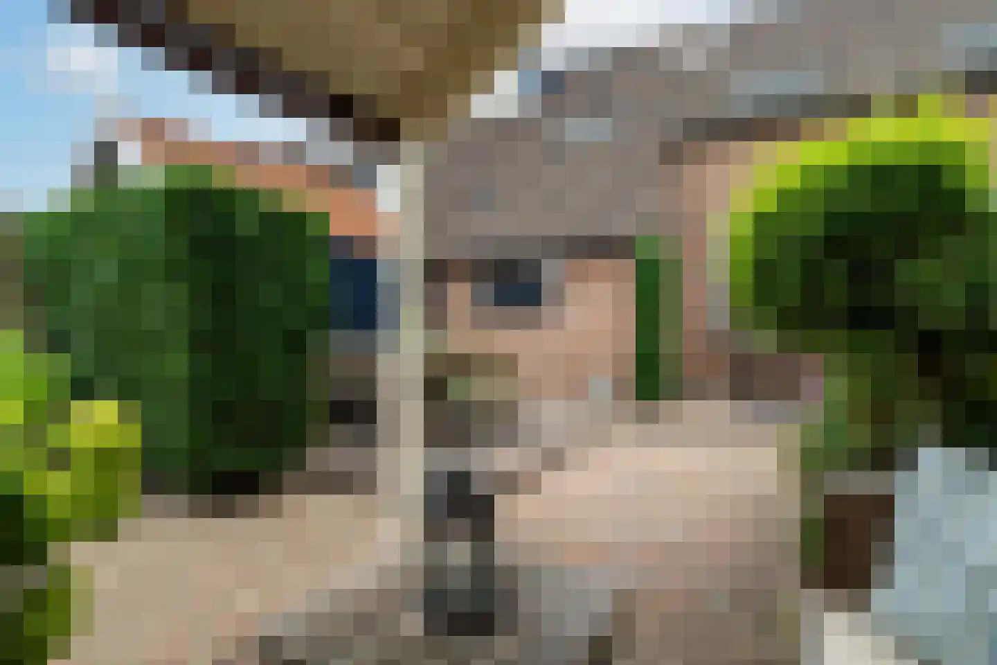 Anjerlaan 63 Almkerk thumbnail 33