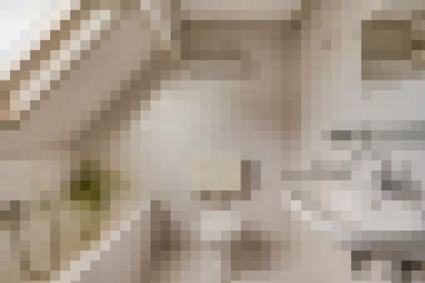 Anjerlaan 7 Oostkapelle thumbnail 26