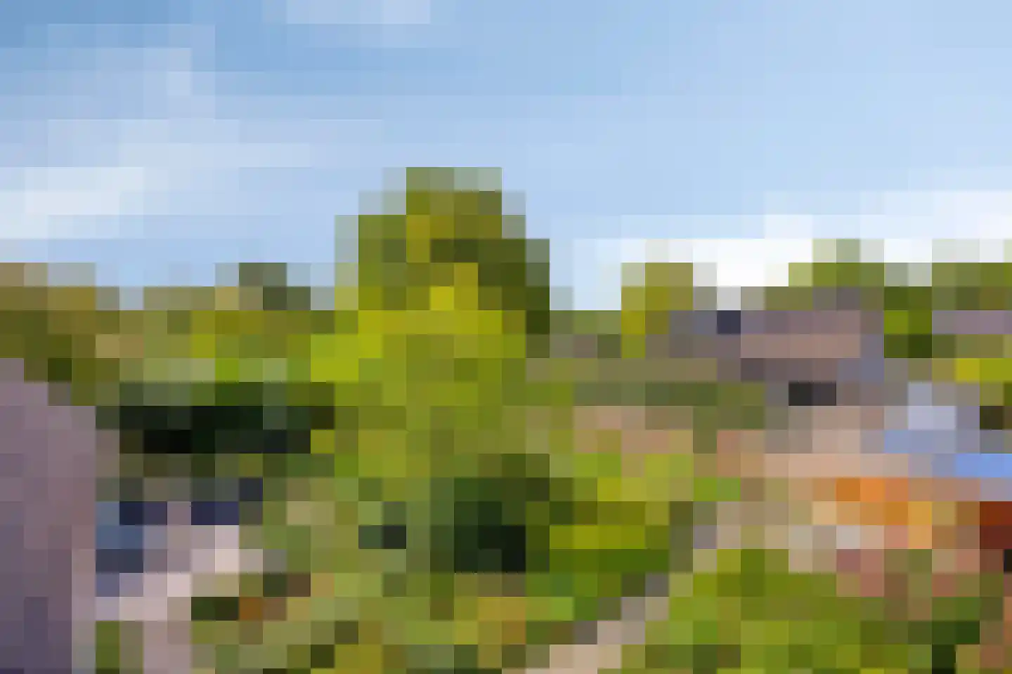 Anjerlaan 7 Oostkapelle thumbnail 28