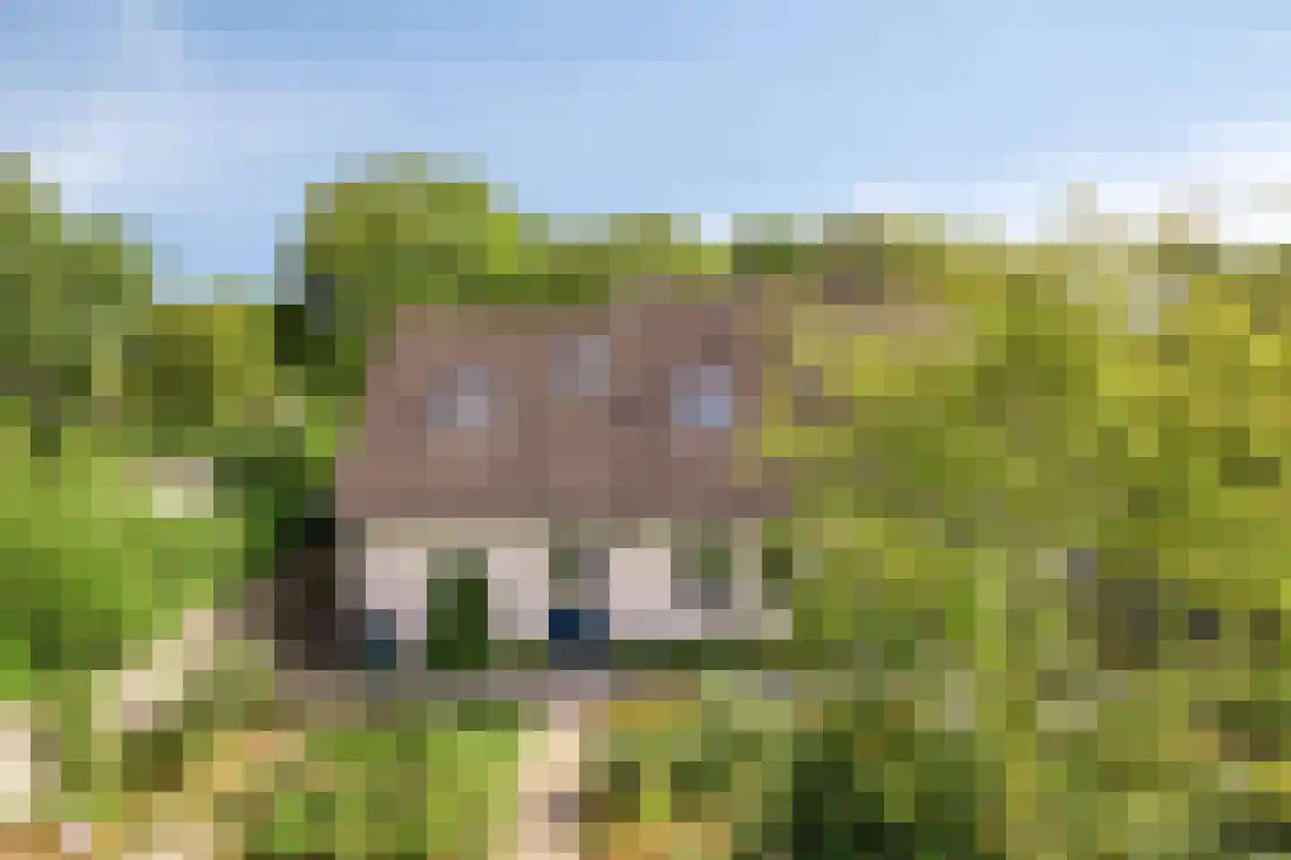Anjerlaan 7 Oostkapelle thumbnail 29