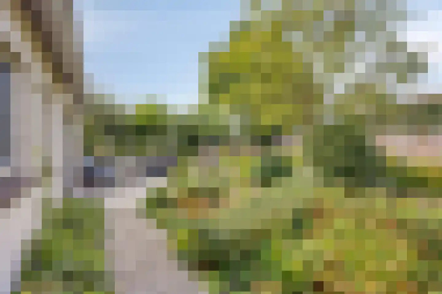 Anjerlaan 7 Oostkapelle thumbnail 32