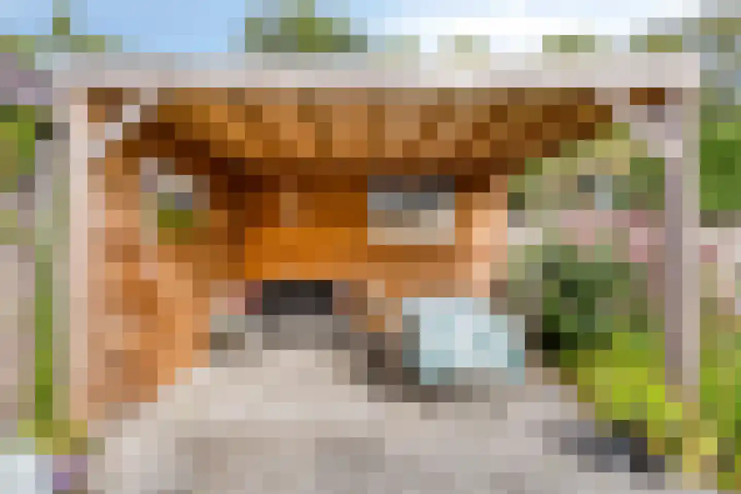 Anjerlaan 7 Oostkapelle thumbnail 34