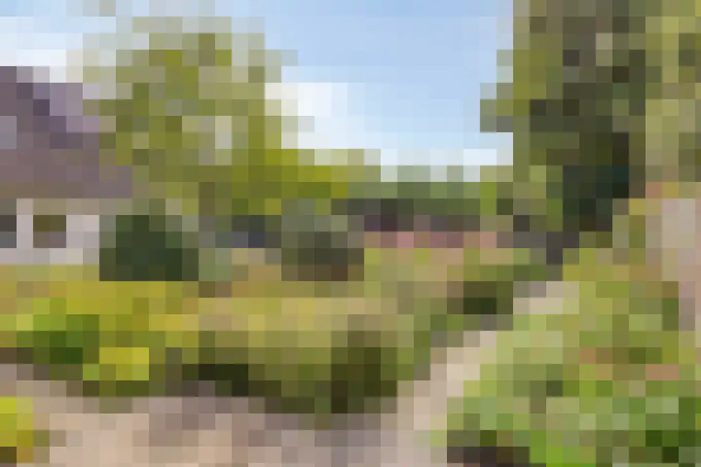 Anjerlaan 7 Oostkapelle thumbnail 36