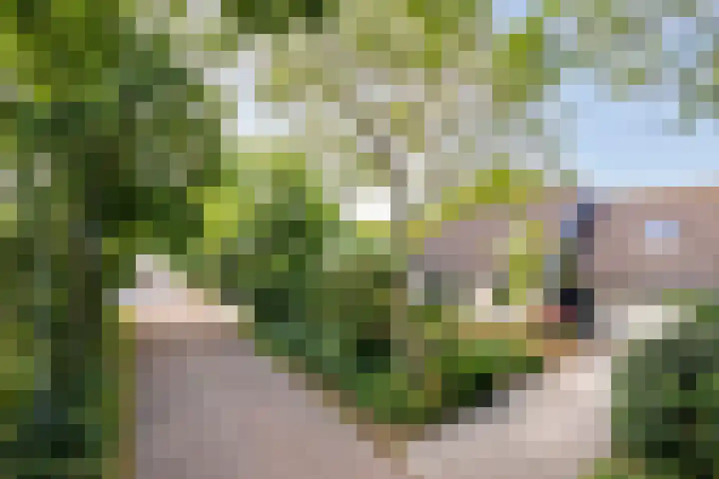 Anjerlaan 7 Oostkapelle thumbnail 5