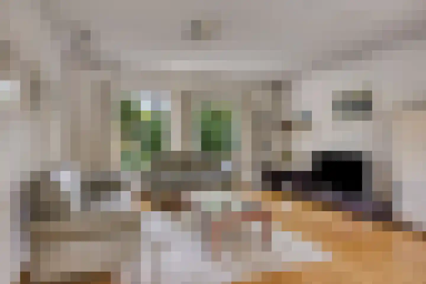 Anjerlaan 7 Oostkapelle thumbnail 9