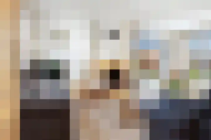 Anjerstraat 1 Nieuw-Buinen thumbnail 10