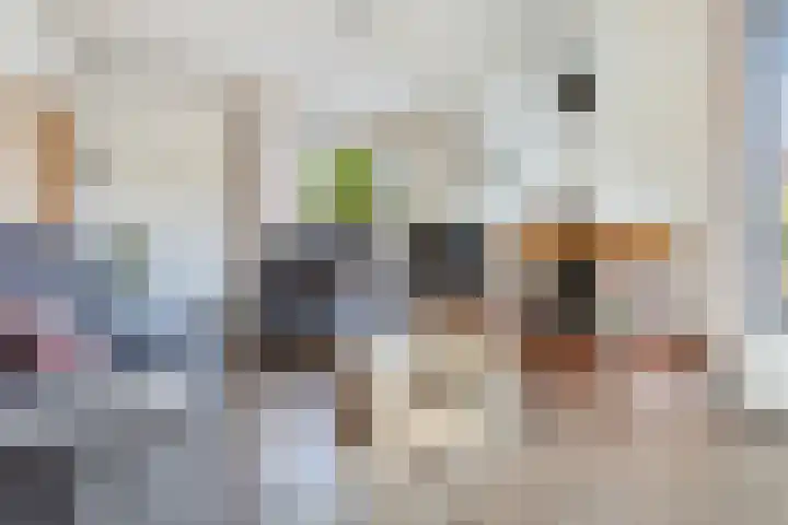 Anjerstraat 1 Nieuw-Buinen thumbnail 11