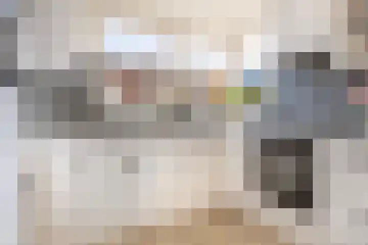 Anjerstraat 1 Nieuw-Buinen thumbnail 16
